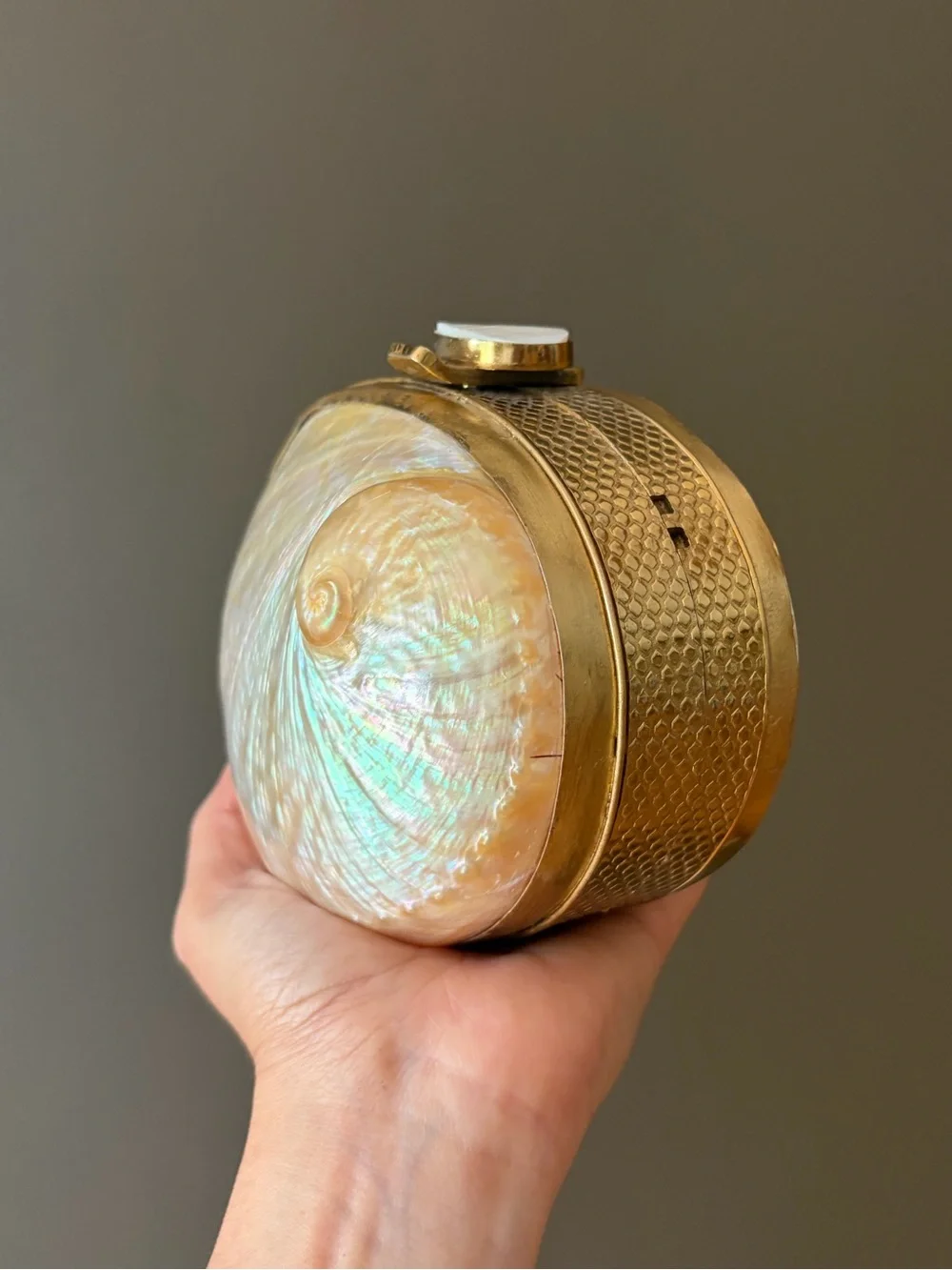 Iridescent Shell Clutch Wristlet in Cream